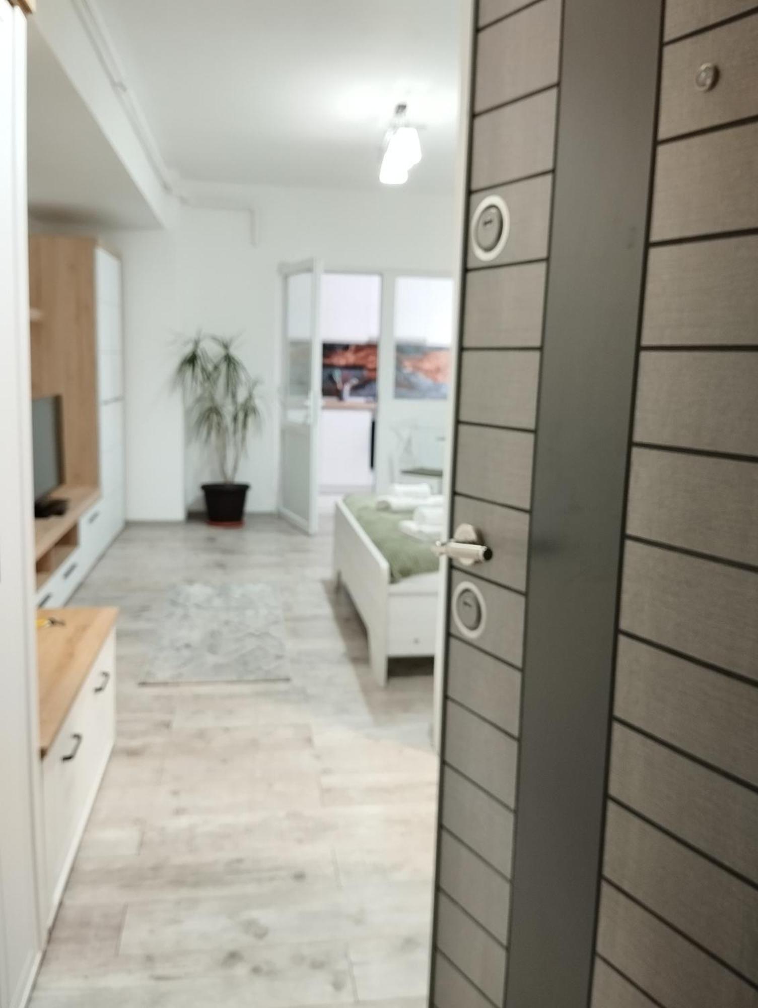 Amber Studio Krajowa Zewnętrze zdjęcie