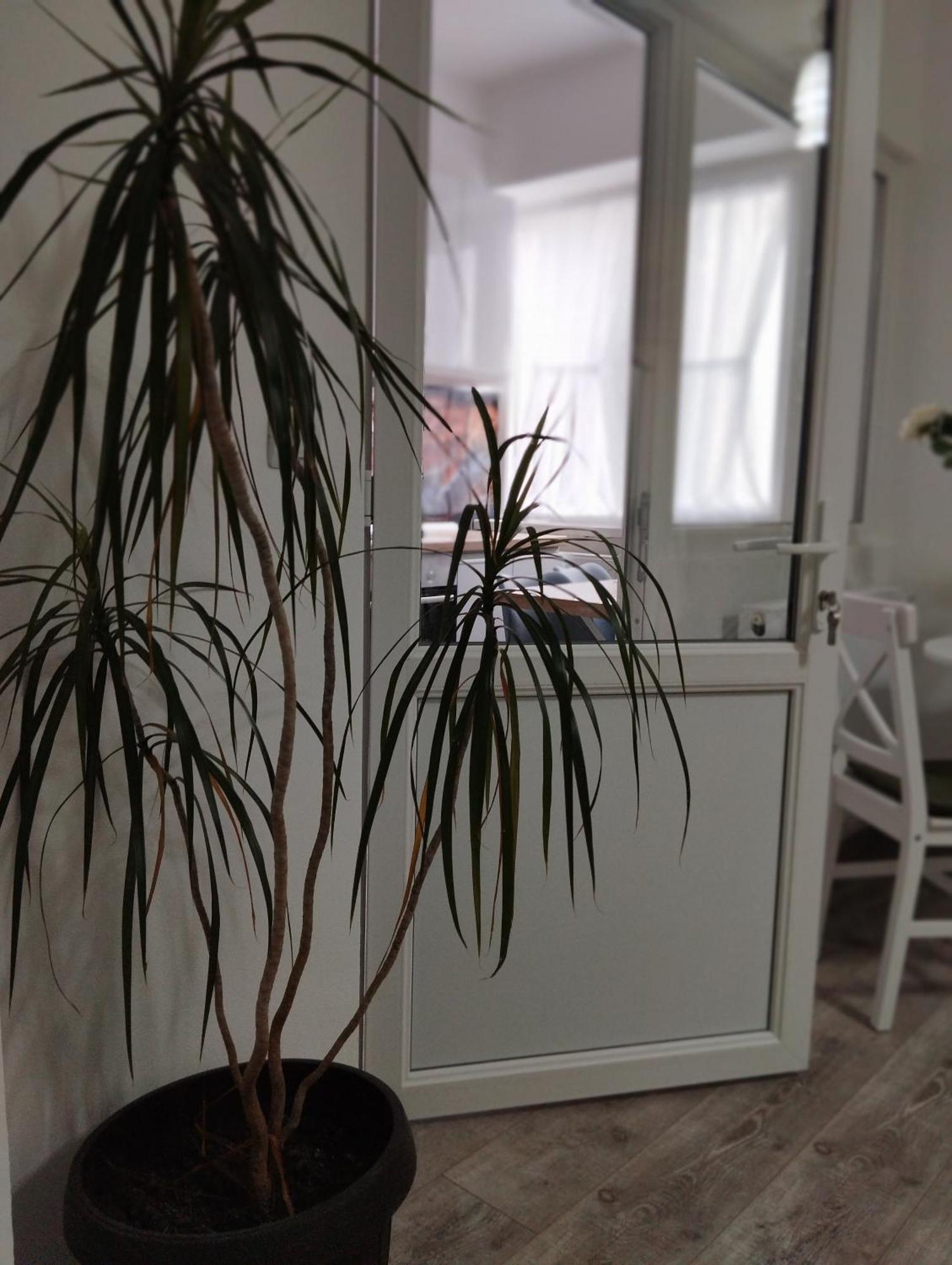 Amber Studio Krajowa Zewnętrze zdjęcie